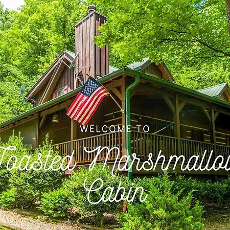 Pigeonforge Cabin Game Roomdog Friendlyhot Tub Pigeon Forge Eksteriør bilde