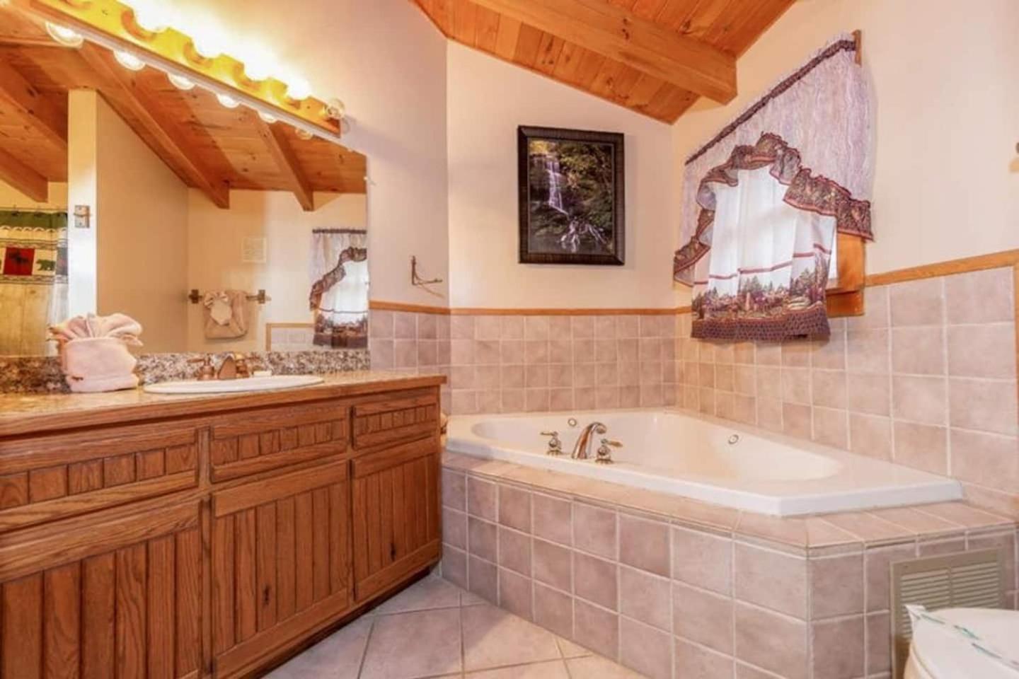 Pigeonforge Cabin Game Roomdog Friendlyhot Tub Pigeon Forge Eksteriør bilde