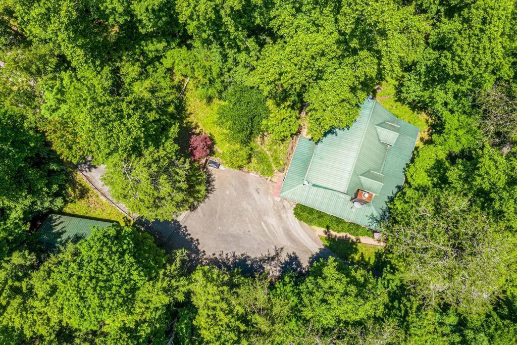 Pigeonforge Cabin Game Roomdog Friendlyhot Tub Pigeon Forge Eksteriør bilde